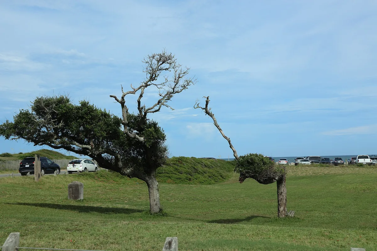 Present-day landscape at Fort Fisher State Historic Site near Kure Beach
